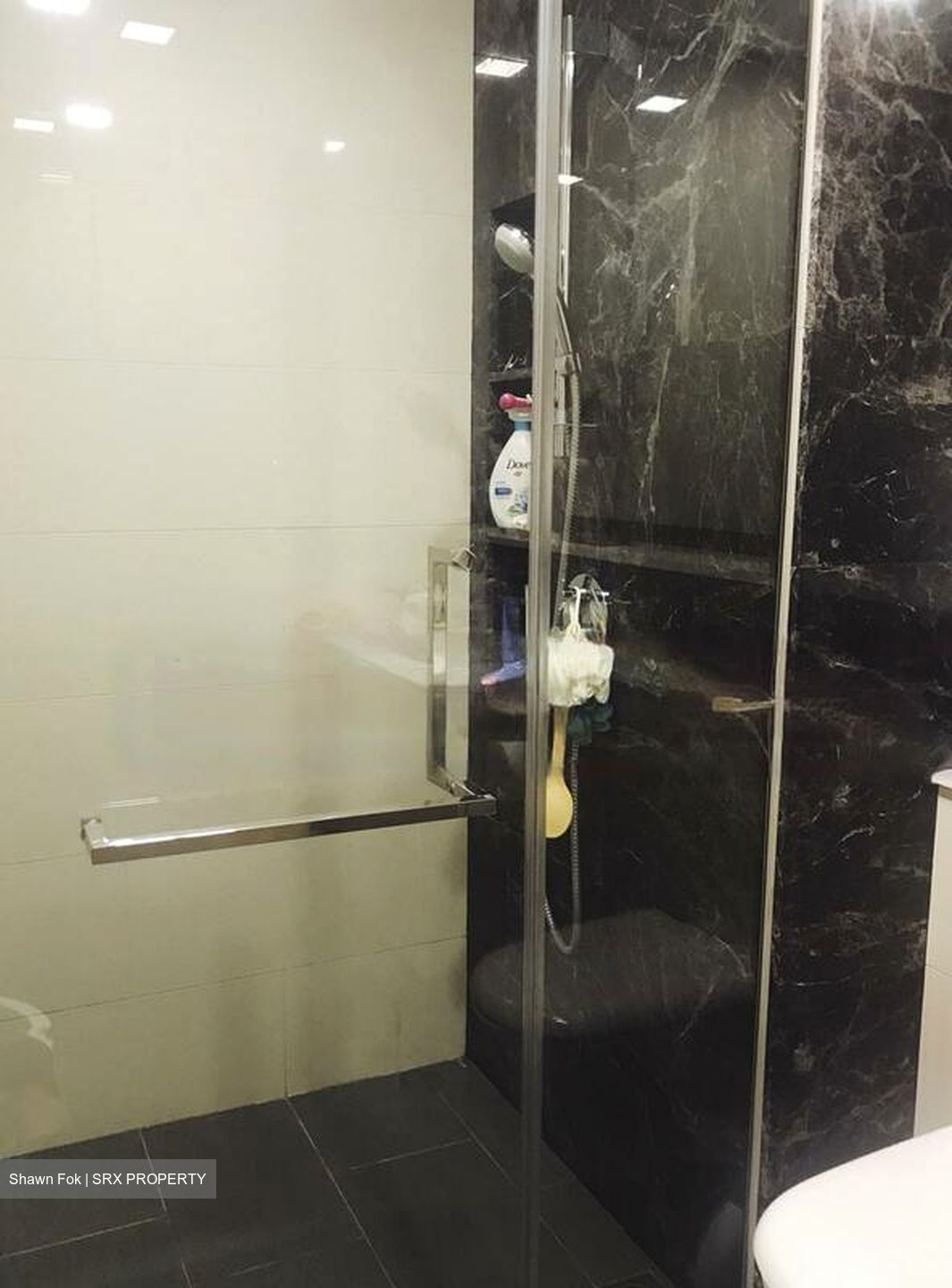 Bartley Ridge (D13), Condominium #504626171